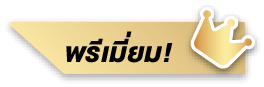 ทัวร์โปรไฟไหม้