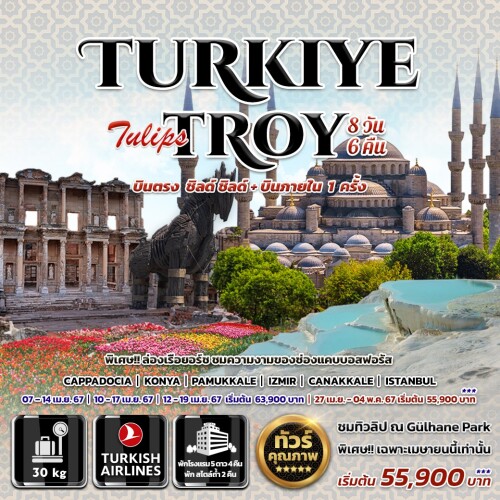 Turkiye Tulips Troy copy