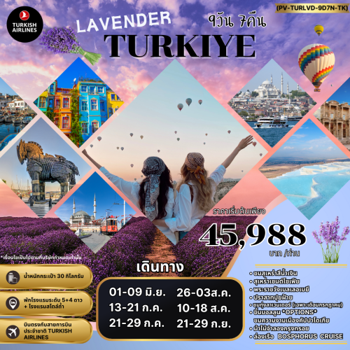 LAVENDER TURKIYE