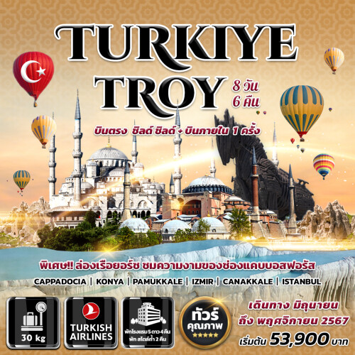 Turkiye Troy copy