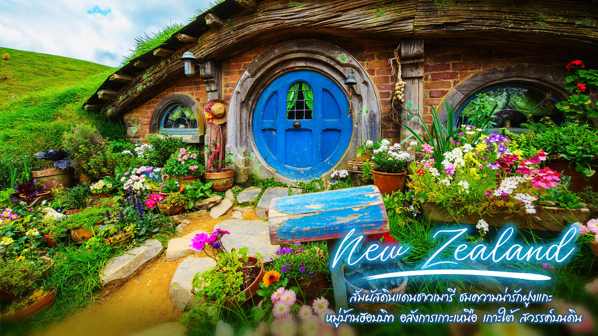 ทัวร์นิวซีแลนด์