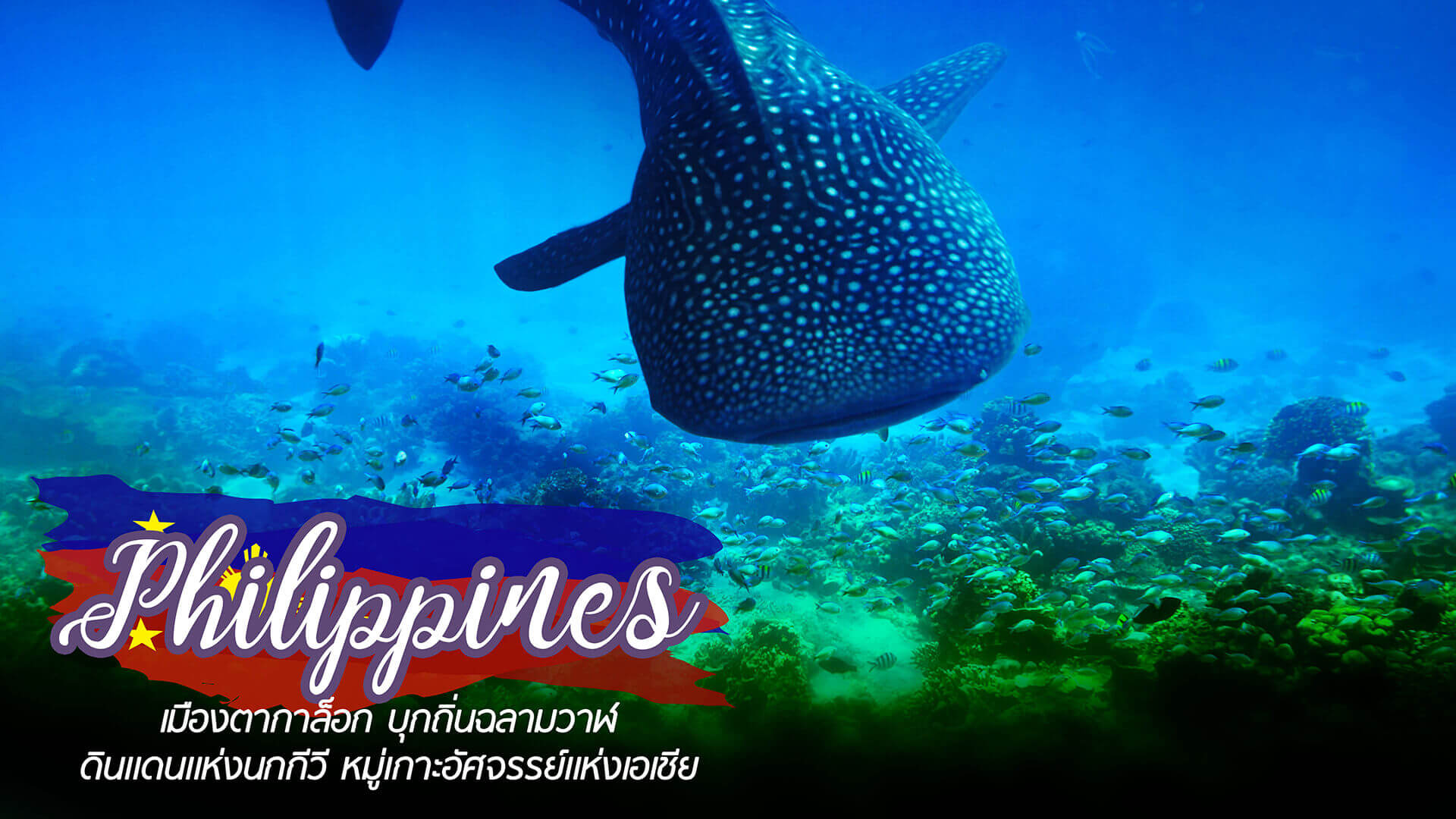 ทัวร์ฟิลิปปินส์