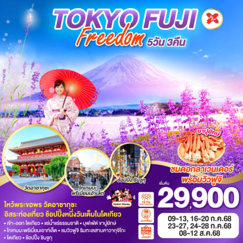 ทัวร์ญี่ปุ่น โตเกียว ฟูจิ อิสระ 1 วัน (XJ)