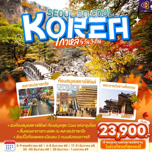 KOR-TG-Y013