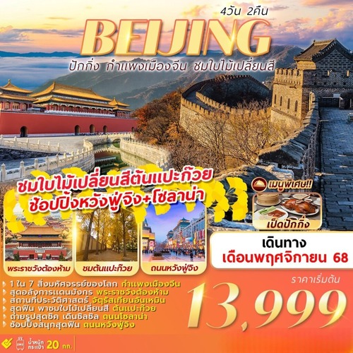 VZ-PKX06-Re1-copy-1-1024x1024 (1) (2)