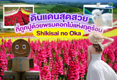 ดินแดนสุดสวยที่ถูกปูด้วยพรมดอกไม้แห่งฤดูร้อน กับ Shikisai no Oka!